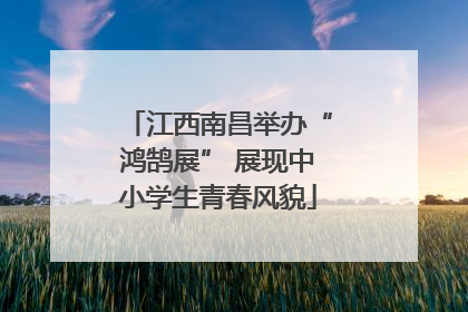 江西南昌举办“鸿鹄展” 展现中小学生青春风貌