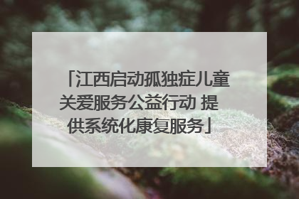 江西启动孤独症儿童关爱服务公益行动 提供系统化康复服务