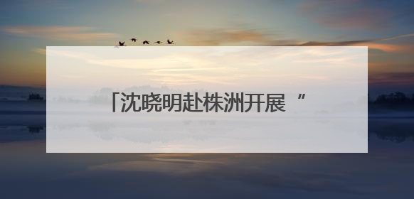 沈晓明赴株洲开展“七一”走访慰问并为基层党支部讲党课
