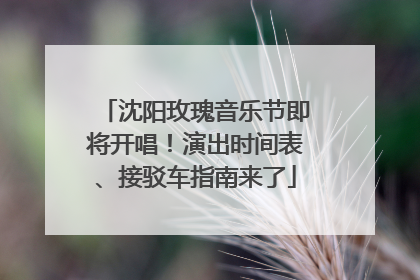 沈阳玫瑰音乐节即将开唱！演出时间表、接驳车指南来了