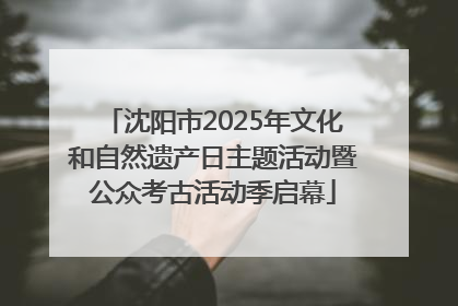 沈阳市2025年文化和自然遗产日主题活动暨公众考古活动季启幕
