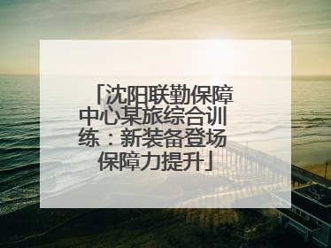 沈阳联勤保障中心某旅综合训练：新装备登场 保障力提升