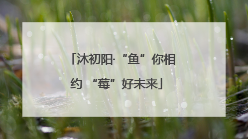 沐初阳·“鱼”你相约 “莓”好未来