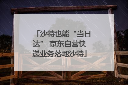 沙特也能“当日达” 京东自营快递业务落地沙特