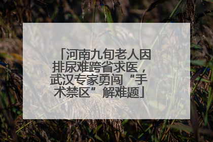河南九旬老人因排尿难跨省求医，武汉专家勇闯“手术禁区”解难题