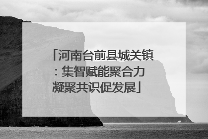 河南台前县城关镇：集智赋能聚合力 凝聚共识促发展