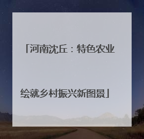 河南沈丘：特色农业绘就乡村振兴新图景