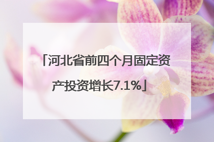 河北省前四个月固定资产投资增长7.1%