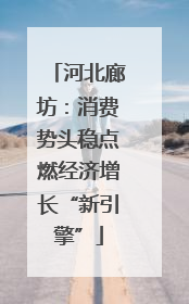 河北廊坊：消费势头稳点燃经济增长“新引擎”