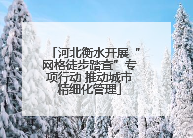 河北衡水开展“网格徒步踏查”专项行动 推动城市精细化管理