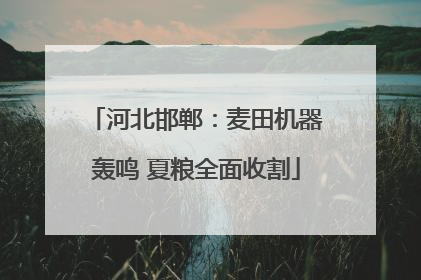 河北邯郸：麦田机器轰鸣 夏粮全面收割