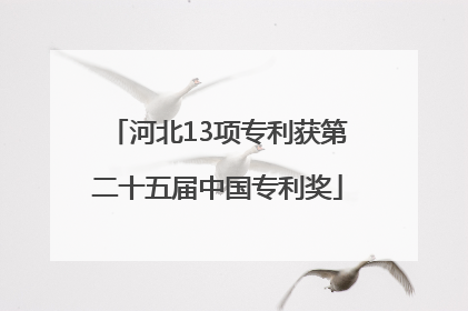 河北13项专利获第二十五届中国专利奖