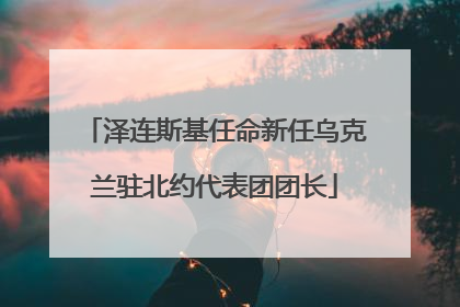 泽连斯基任命新任乌克兰驻北约代表团团长