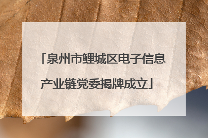 泉州市鲤城区电子信息产业链党委揭牌成立