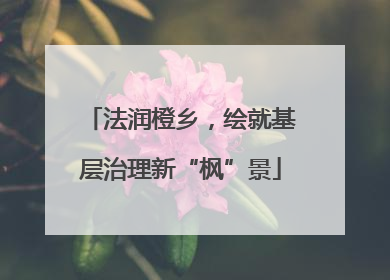 法润橙乡，绘就基层治理新“枫”景