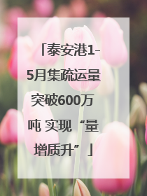 泰安港1-5月集疏运量突破600万吨 实现“量增质升”