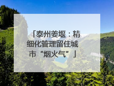 泰州姜堰：精细化管理留住城市“烟火气”