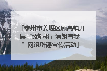 泰州市姜堰区顾高镇开展“e路同行 清朗有我”网络辟谣宣传活动
