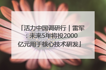 活力中国调研行｜雷军：未来5年将投2000亿元用于核心技术研发