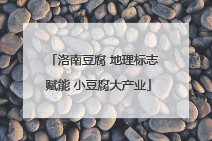 洛南豆腐 地理标志赋能 小豆腐大产业