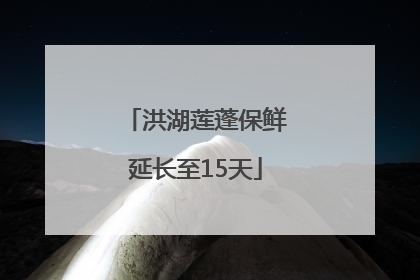 洪湖莲蓬保鲜延长至15天