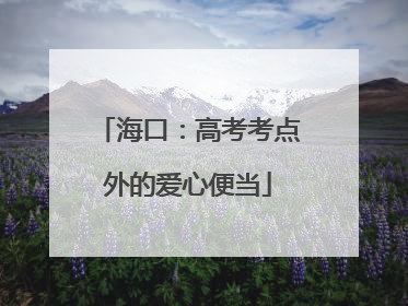 海口：高考考点外的爱心便当
