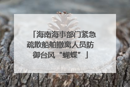 海南海事部门紧急疏散船舶撤离人员防御台风“蝴蝶”