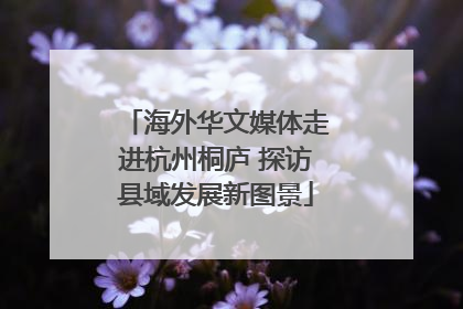 海外华文媒体走进杭州桐庐 探访县域发展新图景