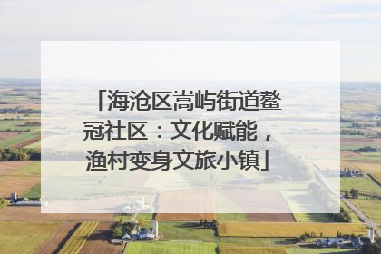 海沧区嵩屿街道鳌冠社区：文化赋能，渔村变身文旅小镇