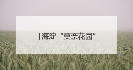 海淀“莫奈花园”，上演“稻田音乐会”！现场直击