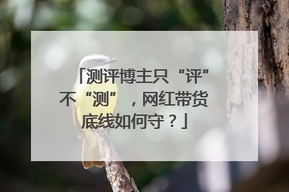 测评博主只“评”不“测”，网红带货底线如何守？