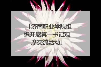 济南职业学院组织开展第一书记观摩交流活动