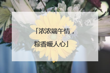 浓浓端午情，粽香暖人心