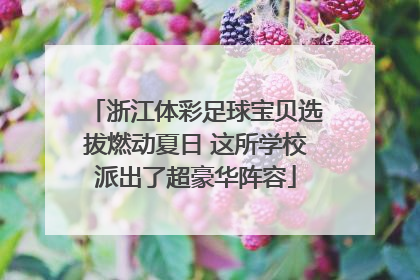 浙江体彩足球宝贝选拔燃动夏日 这所学校派出了超豪华阵容