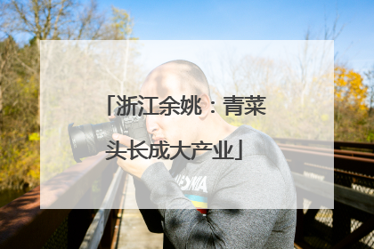 浙江余姚：青菜头长成大产业