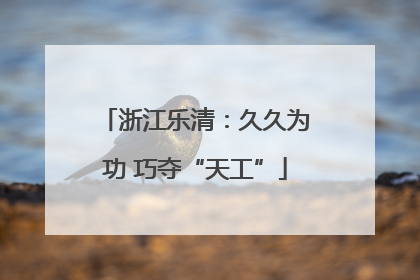 浙江乐清：久久为功 巧夺“天工”