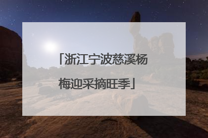 浙江宁波慈溪杨梅迎采摘旺季
