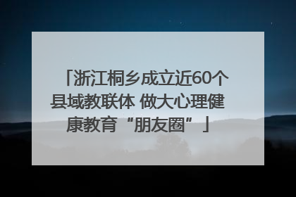 浙江桐乡成立近60个县域教联体 做大心理健康教育“朋友圈”