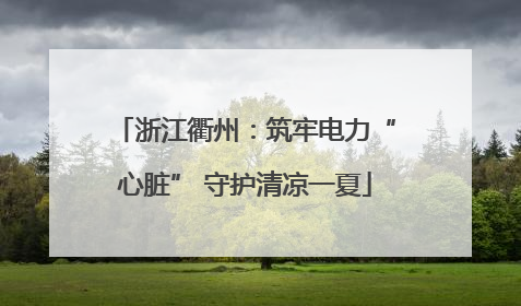 浙江衢州：筑牢电力“心脏” 守护清凉一夏