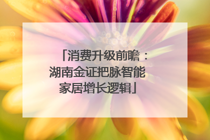 消费升级前瞻：湖南金证把脉智能家居增长逻辑