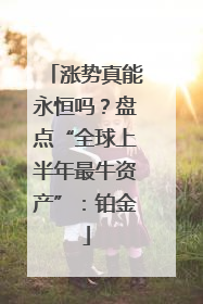 涨势真能永恒吗？盘点“全球上半年最牛资产”：铂金