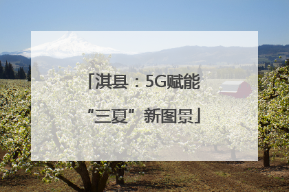 淇县：5G赋能“三夏”新图景