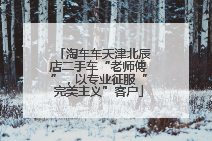 淘车车天津北辰店二手车“老师傅”，以专业征服“完美主义”客户