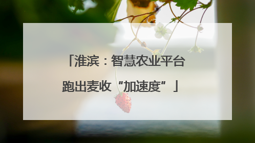淮滨：智慧农业平台跑出麦收“加速度”