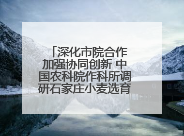 深化市院合作 加强协同创新 中国农科院作科所调研石家庄小麦选育种等工作