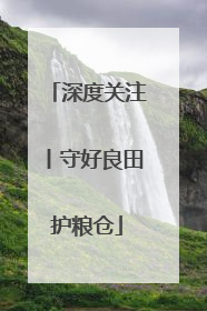 深度关注丨守好良田护粮仓