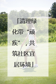 清理绿化带“顽疾”，共筑社区宜居环境