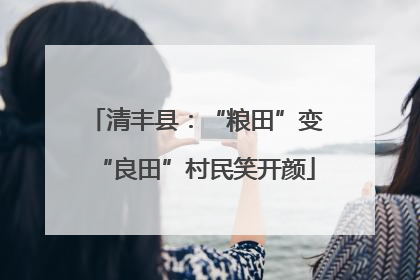 清丰县：“粮田”变“良田”村民笑开颜