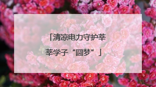清凉电力守护莘莘学子“圆梦”