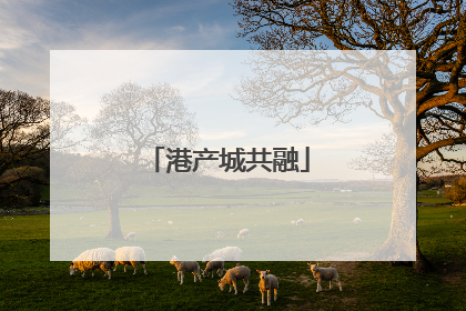 港产城共融